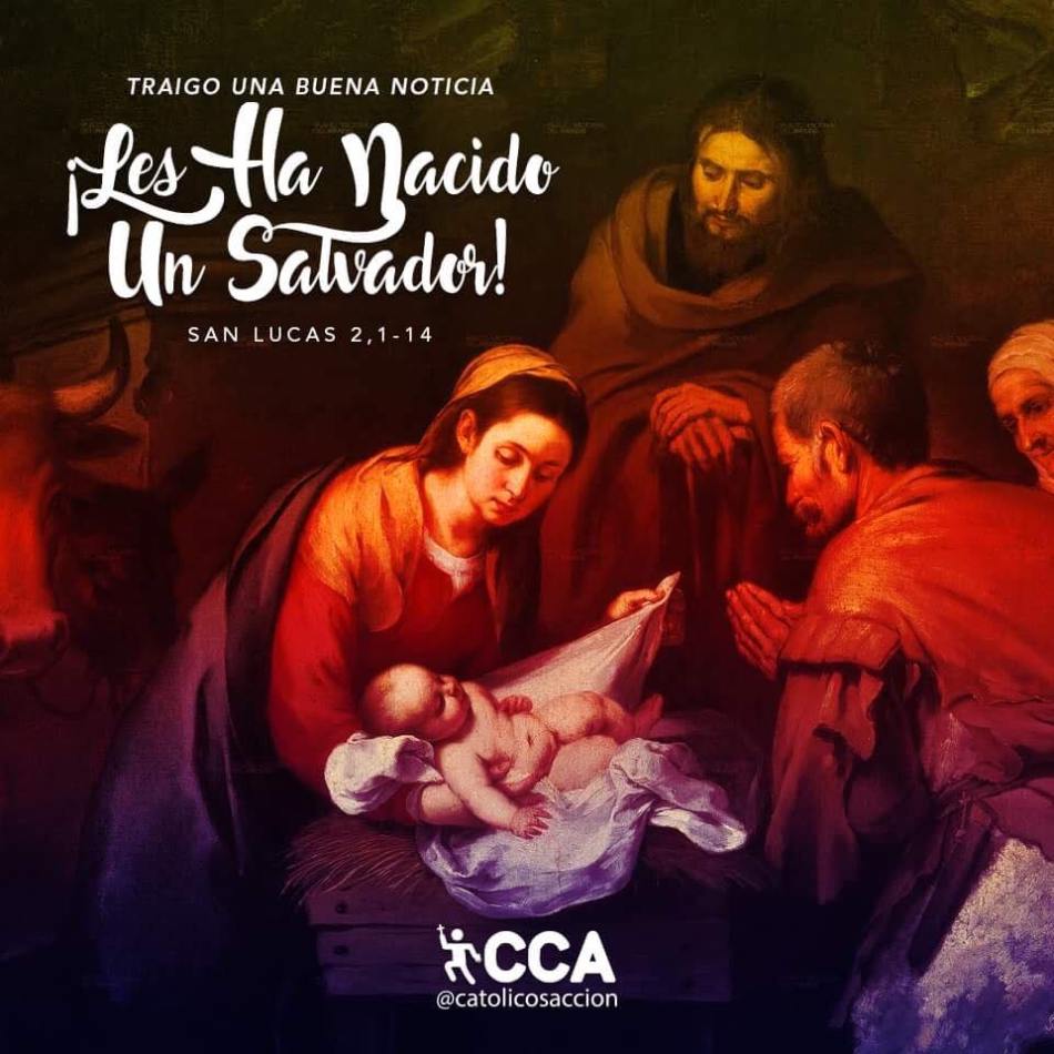 15672762_1140237709378898_4815484337715385384_n