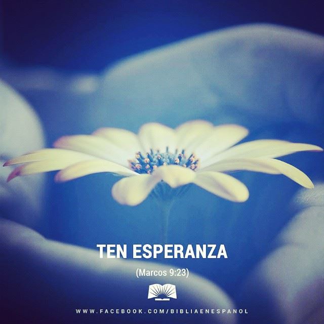 15781621_10154313125972877_6417541860856991385_n